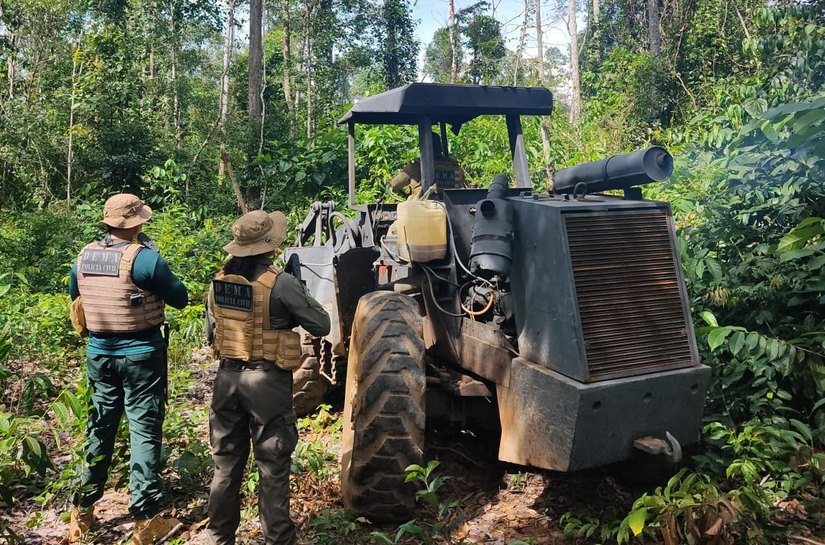 Polícia Civil e Sema realizam operação de combate ao desmatamento ilegal na região noroeste de MT