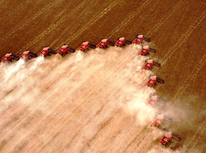 Mato Grosso está entre os 5 Estados com força para superar efeitos da pandemia em 2021, aponta consultoria