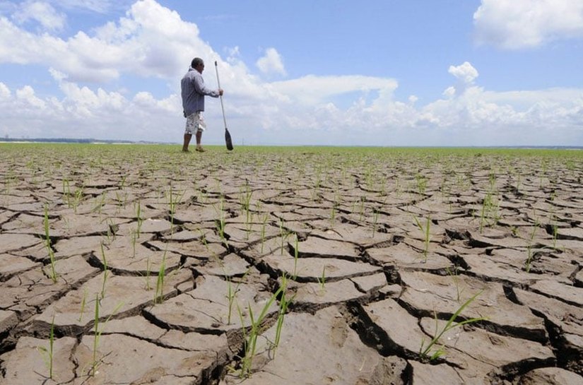 Seca já afeta todos os 62 municípios do Amazonas