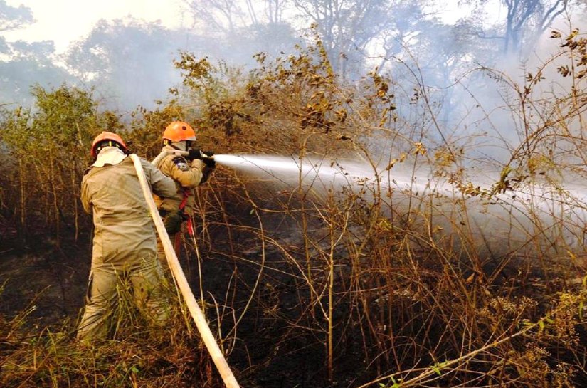 Governo de Mato Grosso decreta calamidade pública nesta segunda, 14, para combater incêndios florestais