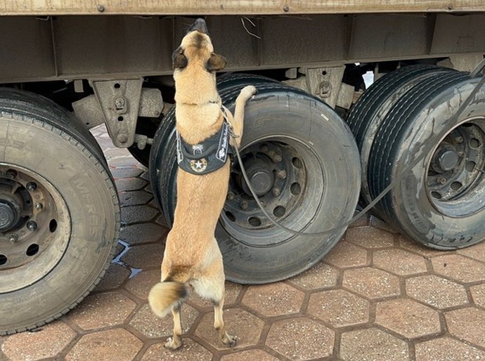 PF desarticula grupo que operava no tráfico interestadual de drogas