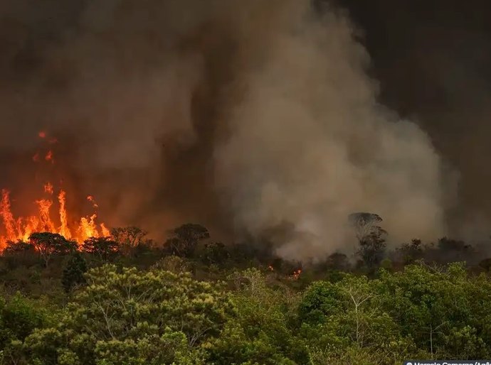 Incêndios podem ter afetado mais de 11 milhões de pessoas no Brasil