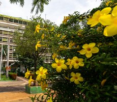 Confira as políticas públicas da Prefeitura de Cuiabá voltadas para as mulheres