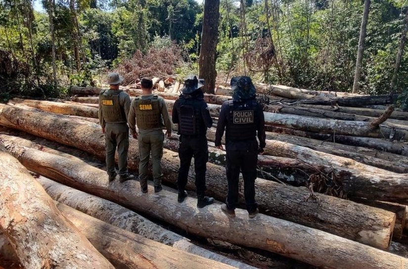 Sema e PJC apreendem 618 metros cúbicos de madeira extraída ilegalmente na região de floresta amazônica