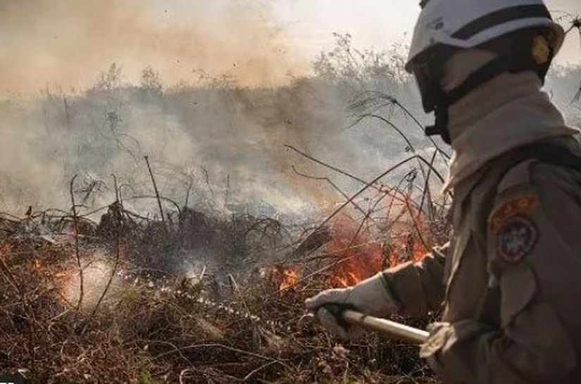 Amazônia e Pantanal têm piores queimadas das últimas duas décadas, alerta agência europeia