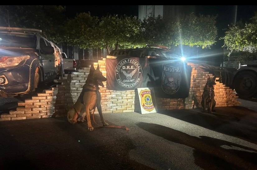 PF em ação conjunta apreende cerca de 450 kg de cocaína em Alto Garças, MT