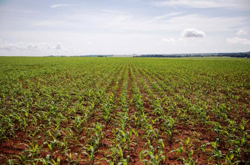 FCO oferta R$ 546,8 milhões em linhas de crédito para empresários e produtores rurais de MT