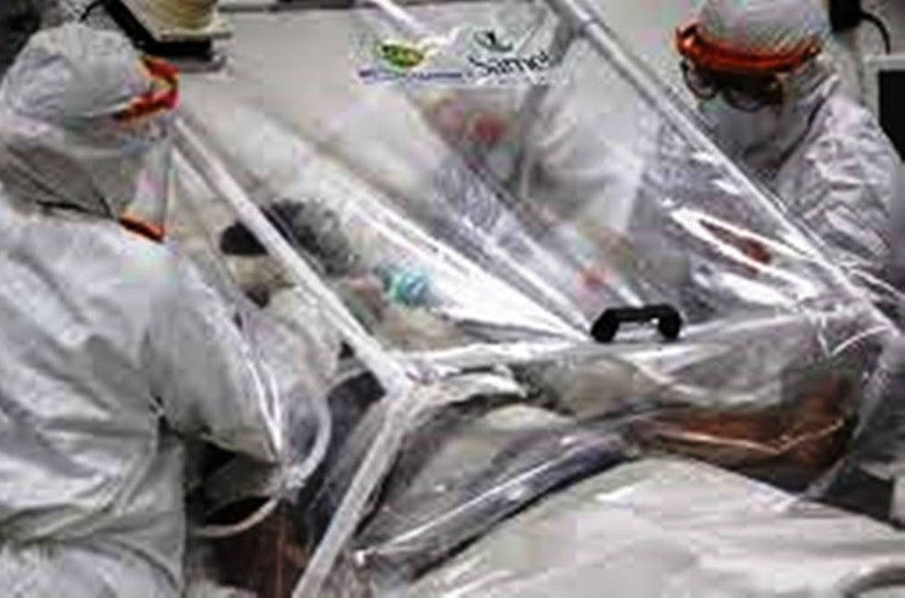 Brasil registra 874 mortes e 43.520 novos casos de Covid-19 nas últimas 24 horas