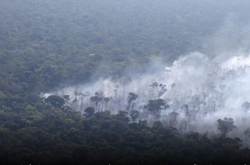 Amazônia Ocidental é região mais poluída do mundo, aponta monitoramento