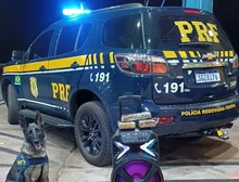 PRF apreende entorpecente durante fiscalização na BR-364 em Santo Antônio do Leverger,MT