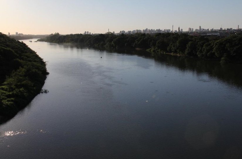 Pesca do pintado não está proibida em Mato Grosso, afirma Conselho