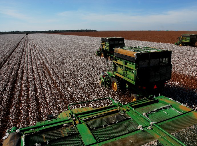 MT concentra 26 dos 50 municípios do país com os maiores valores de produção agrícola