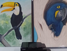 Polícia Civil prende dupla suspeita de envolvimento em crimes de receptação qualificada no comércio em Cuiabá