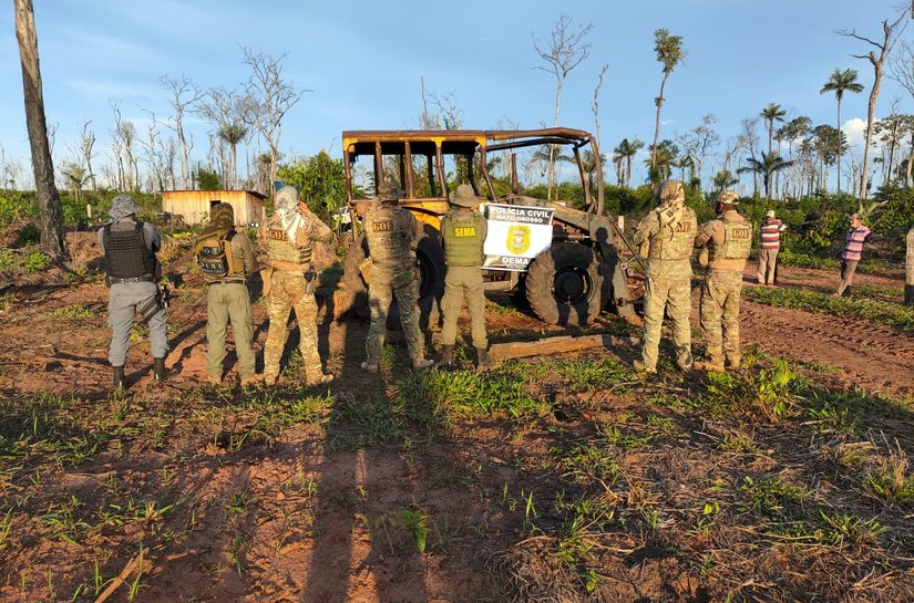 Operação Mata Virgem combate o desmatamento ilegal na região norte de MT