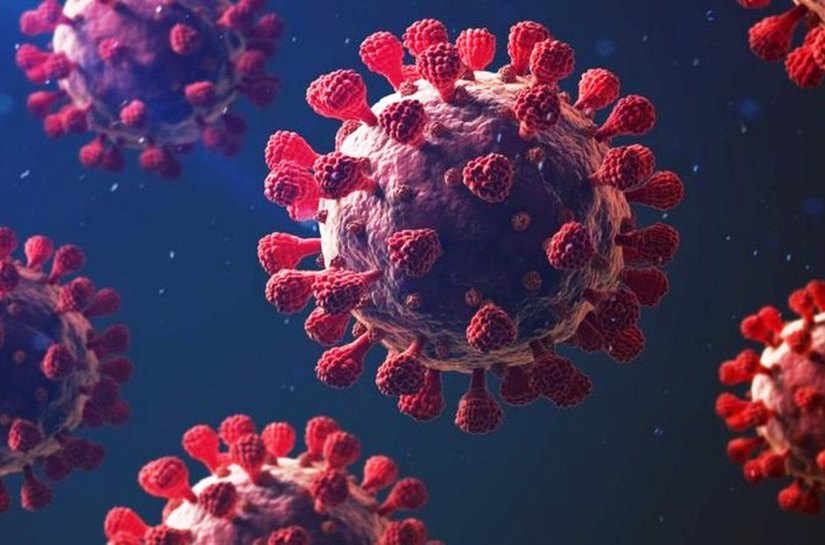 Brasil registra 963 novas mortes por Covid-19 e chega a 188 mil