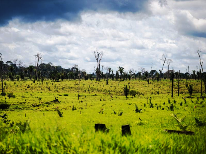 MP pede condenação de produtor rural ao pagamento de R$ 12 milhões