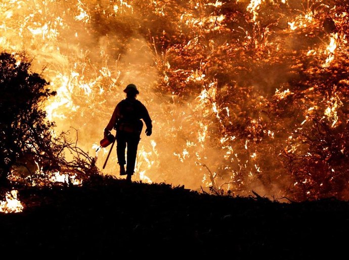 Calor e incêndios colocam Portugal em estado de contingência