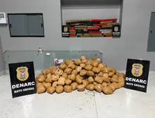 Polícia Civil apreende mais de 150 quilos de maconha em casa no bairro Jardim União