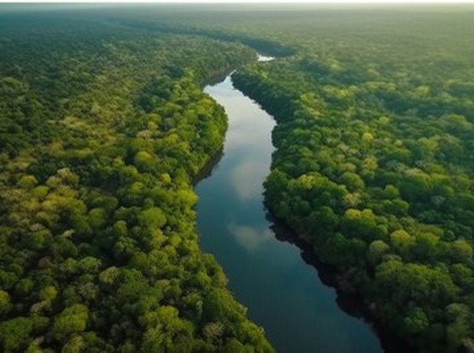 Mato Grosso sediará um dos ofícios ambientais do MPF destinados à Amazônia Oriental