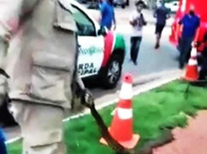 Veja Foto e Vídeos: Sucuri de 2 metros é resgatada em Várzea Grande