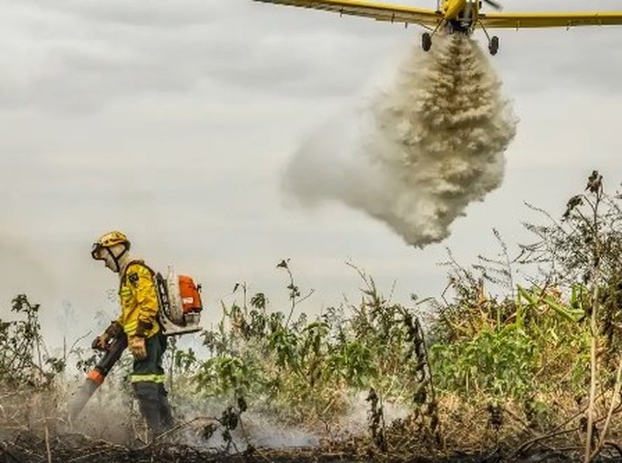 Pantanal: redução da área alagada tem favorecido aumento de incêndios