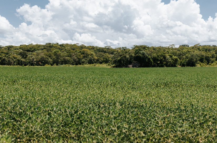 STF homologa Plano Estadual de Regularização Ambiental de MT e destaca evolução do planejamento