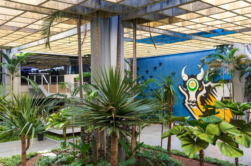 Governo de MT regulamenta decreto sobre moratória da soja e concessão de incentivos