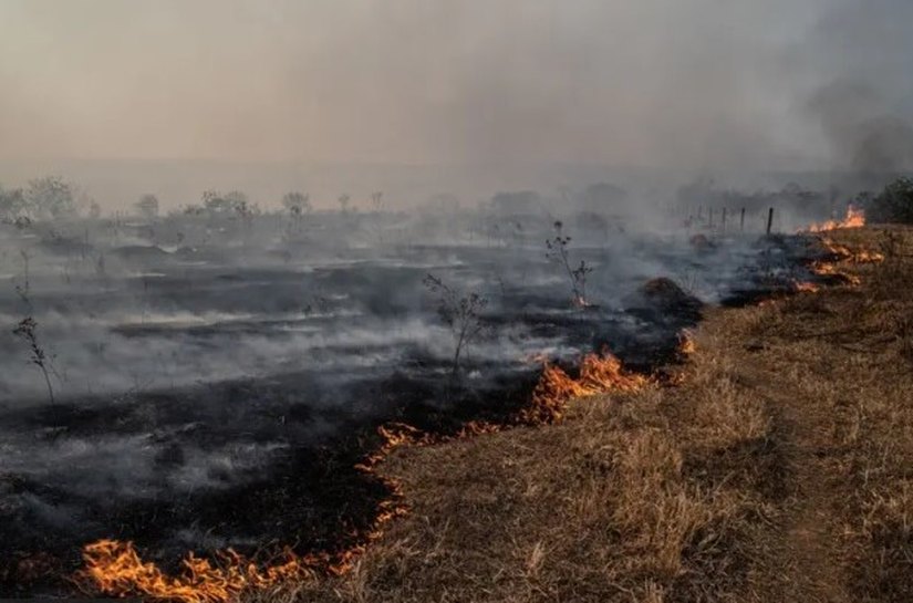 O que explica recorde de incêndios no Pantanal