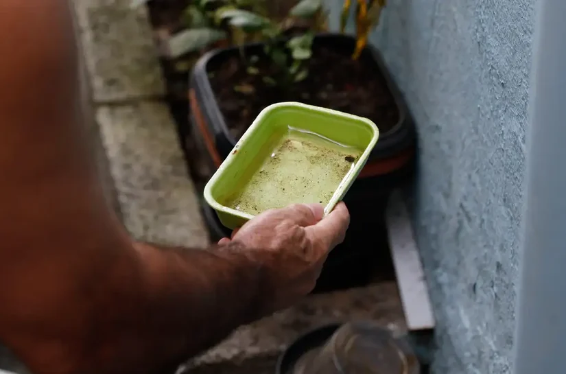 El Niño pode aumentar casos de chikungunya e dengue no Brasil