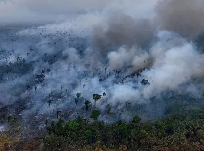 Destruição de florestas tropicais bate recorde com aumento de incêndios