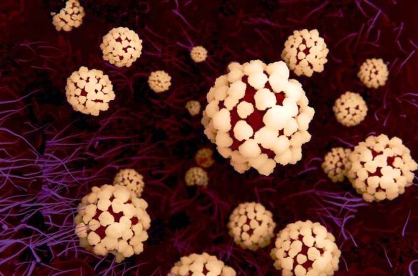 Mato Grosso registra 80.876 mil casos e 2.540 mortes pela Covid-19, nesta sexta feira, 21