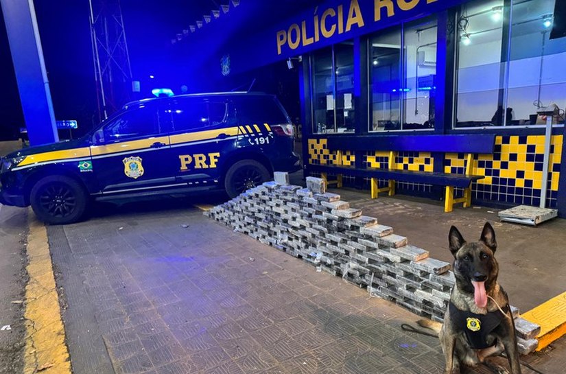 PRF apreende 176 kg de cocaína em compartimento oculto de caminhão na BR-364 em Rondonópolis, MT