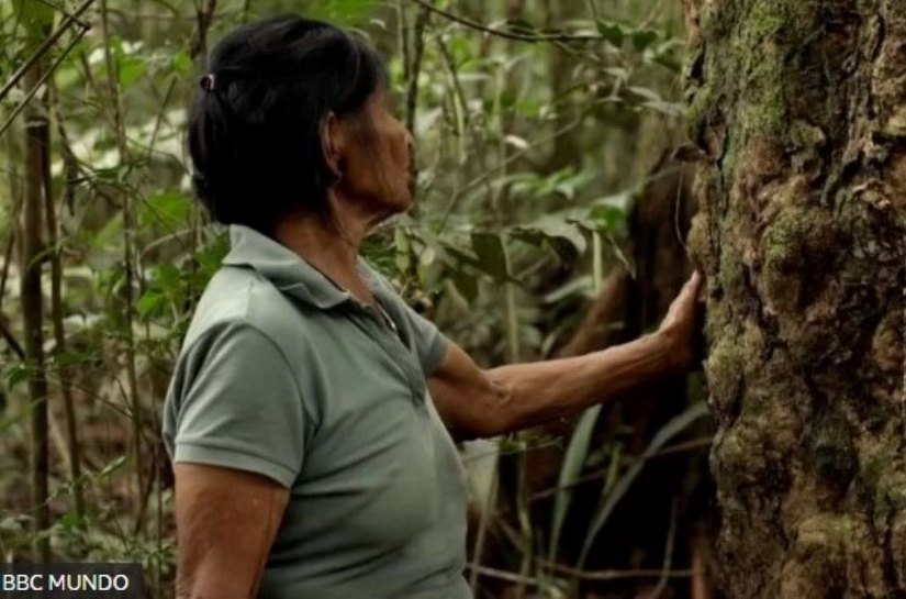 'Paraíso do Diabo': as atrocidades do 'holocausto da borracha' na Amazônia colombiana