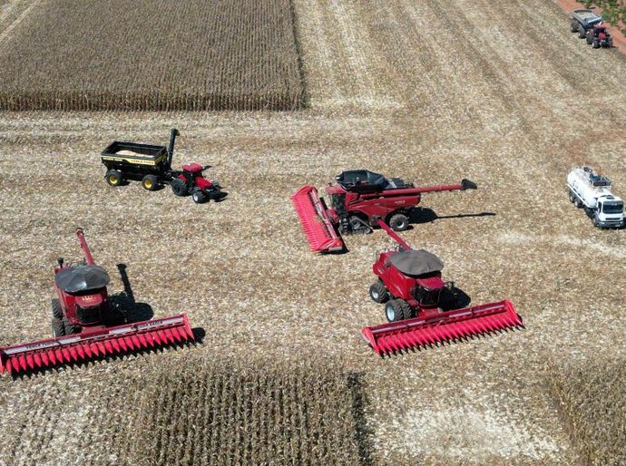 Mato Grosso dá início à colheita da segunda safra nacional de milho