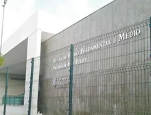 Polícia prende suspeito de homicídios em escola no Ceará
