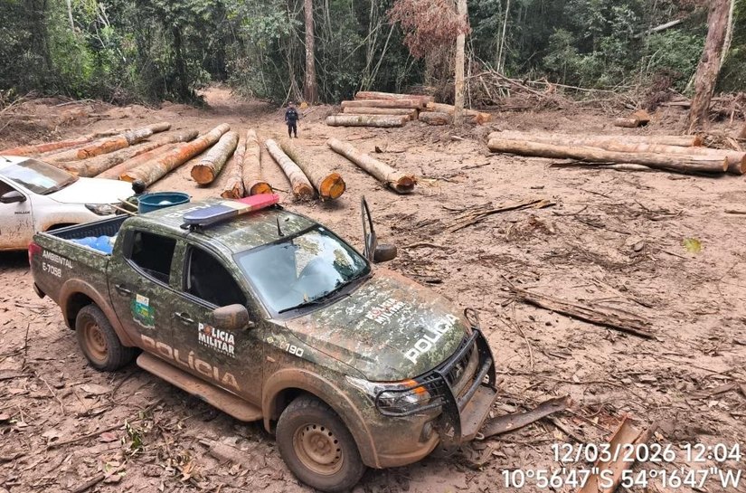 Batalhão Ambiental da PM apreende mais de 174 m³ de madeira ilegal durante fiscalização em Marcelândia