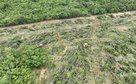 Veja Foto e Vídeo: Sema e PM flagram desmatamento ilegal com apoio de drones e tecnologia de geoprocessamento