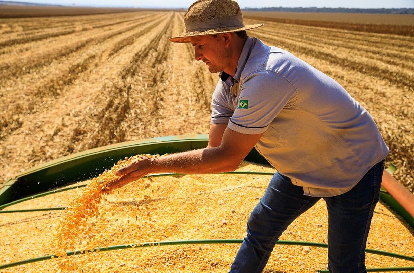 Mato Grosso lidera produção agropecuária brasileira por 4 anos consecutivos