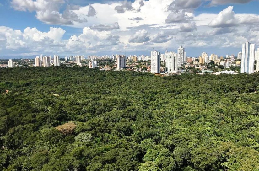 Mãe Bonifácia, Massairo Okamura e Zé Bolo Flô estão temporariamente fechados