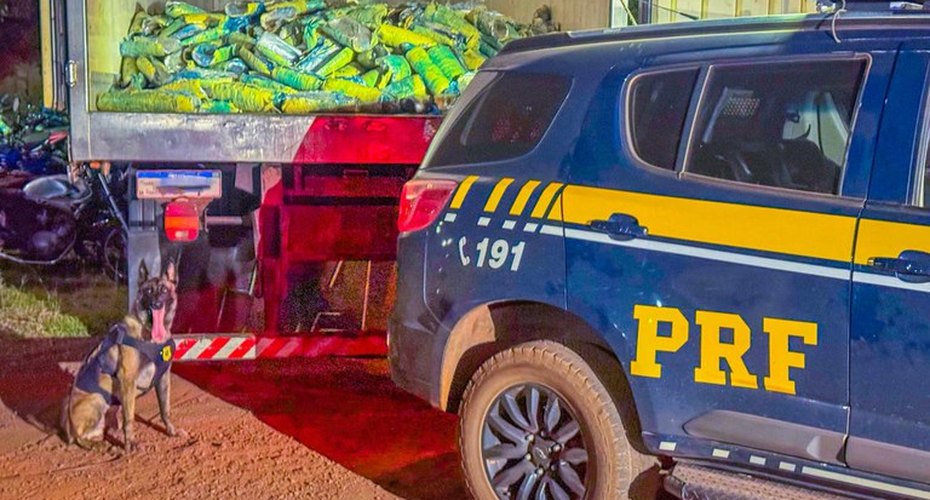 PRF apreende mais de uma tonelada de skunk em Rondonópolis, MT