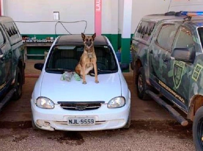 Gefron prende três pessoas e apreende drogas, armas e veículos na fronteira