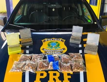 PRF apreende mais de mil munições e equipamentos de recarga em Rondonópolis, MT
