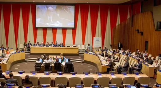Brasil é eleito para integrar Conselho Econômico e Social da ONU