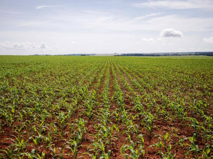 FCO oferta R$ 546,8 milhões em linhas de crédito para empresários e produtores rurais de MT