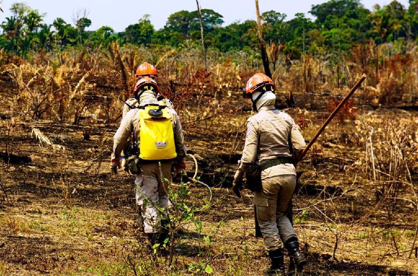 Governo de Mato Grosso lança Operação Abafa Amazônia 2022 nesta terça-feira,04