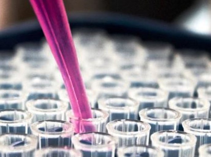 MT entra em queda no número de infecções e mortes da Covid 19, o Novo Coronavírus