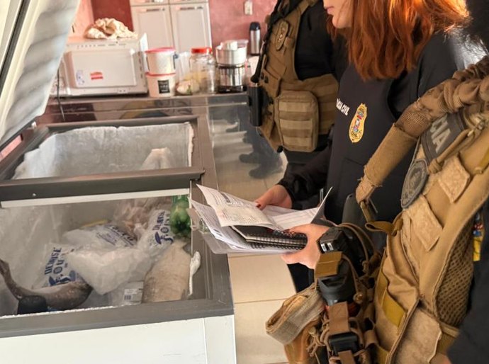 Polícia Civil deflagra operação para combater comércio ilegal na Feira do Porto e apreende três toneladas de pescado
