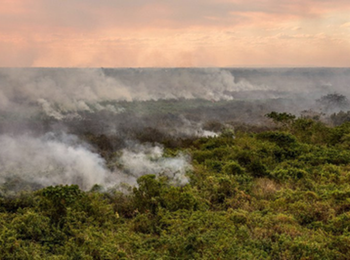 MPF cobra de órgãos públicos providências sobre incêndios em terras indígenas em Mato Grosso