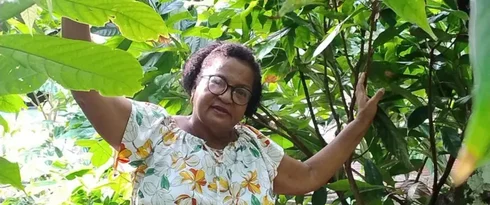 O preço do cacau bateu recorde e deixou produtores da Bahia eufóricos — mas aí veio o 'banho de água fria'