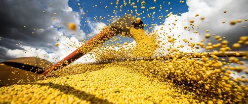 Conab: produção de grãos pode chegar a 358,6 milhões de toneladas